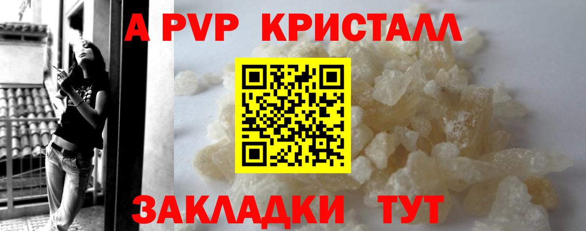 дарнет шоп  Альфа ПВП СК  Элиста  Вход с VPN  Альфа ПВП СК 