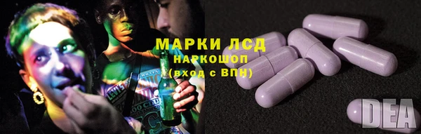 spice Аркадак