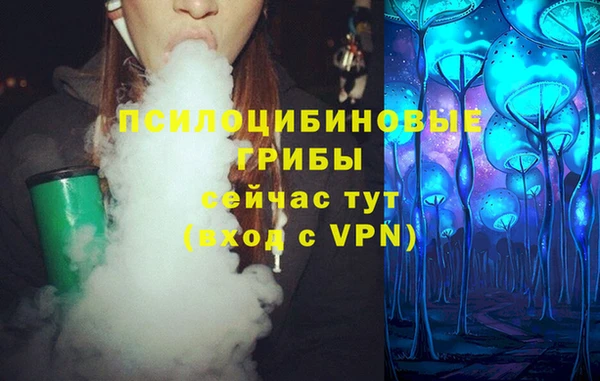 spice Аркадак