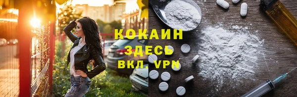 гидра Арсеньев