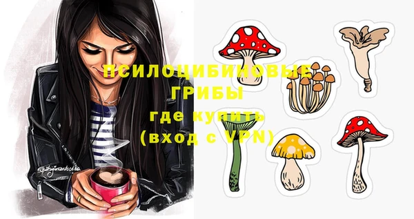 гидра Арсеньев
