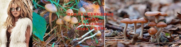 прущая мука Армянск