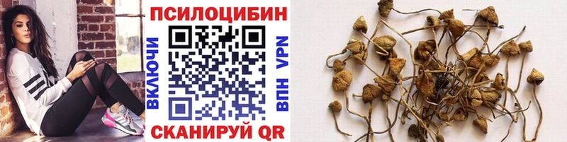 цены наркотик  Элиста  Галлюциногенные грибы мухоморы 