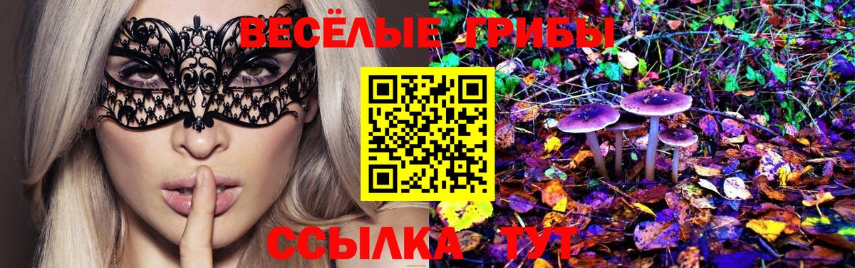 Галлюциногенные грибы Psilocybine cubensis  Вход с VPN  Элиста 